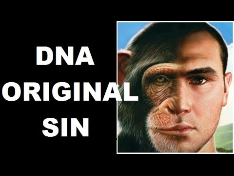 Biblical Genesis - DNA, Original Sin and Human Hybridization