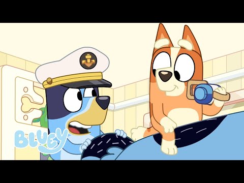 Capa de Observação de Baleias 🐳 💙 | Animais Divertidos com Bluey | Bluey Português Brasil Canal Oficial