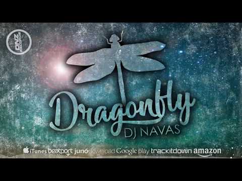 DNZF307 // DJ NAVAS - DRAGONFLY (Official Video DNZ RECORDS)