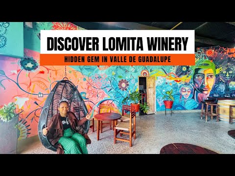 Discover Lomita Winery: HIDDEN GEM in Valle de Guadalupe 🌟