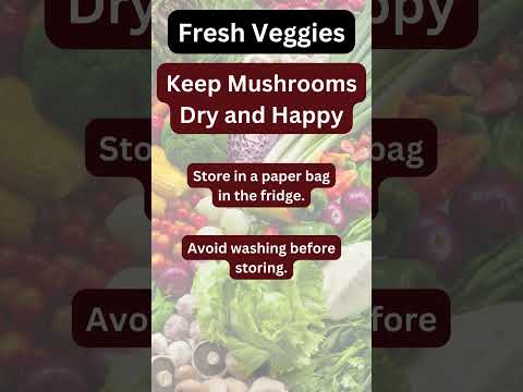 Mushroom Magic: How to Store Mushrooms for Maximum Freshness!