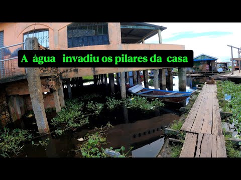 MOSTRANDO A CHEIA NO CACAU PIRÊRA EM IRANDUBA NO AMAZONAS 