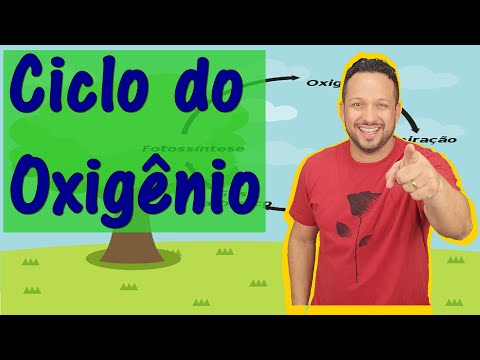 Ciclo do Oxigênio - Ciclos Biogeoquímicos - Ecologia - Biologia com o Tubarão