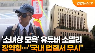'소녀상 모욕' 미국인 유튜버 징역형…국내 법질서 무시 / 연합뉴스TV (YonhapnewsTV)