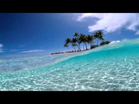 Sunfreakz  - Riding The Waves (Original Mix)