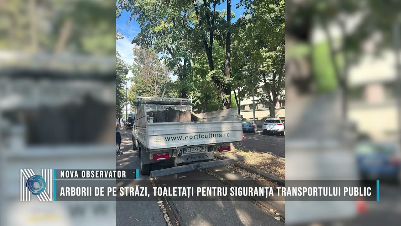 Arborii de pe străzi, toaletați pentru siguranța transportului public