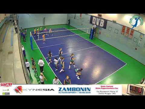 Serall Under 17 Femminile / Serall DVB vs Pol. Campagnola Don Bosco