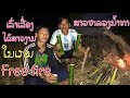 ฟีฟาย