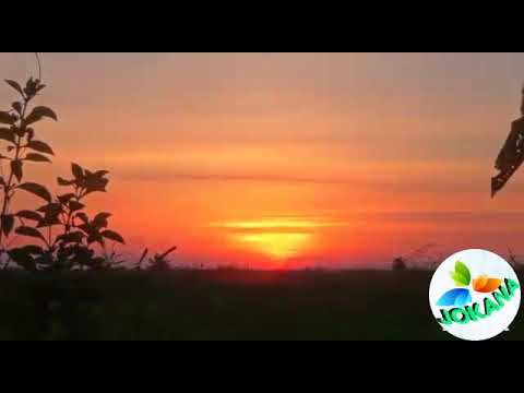 El secuestro de un coplero