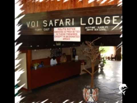 The Safari Sound Band - - Kenya Safari