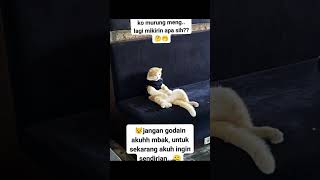 Download lagu Jangan ganggu๐ mp3 Download lagu Jangan ganggu๐ mp3