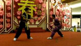 Wushu Demonstration