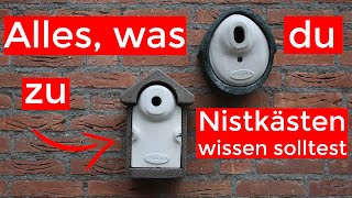 Nistkästen | Standort, Pflege, Material und mehr