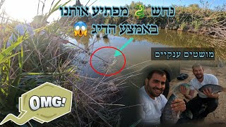 נחש🐉מפתיע אותנו באמצע הדיג 😱 מושטים ענקיים בדיג בוס אני ורפאל .