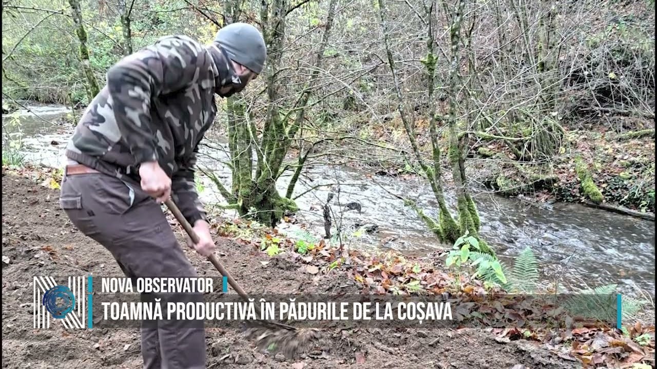 Toamnă productivă în pădurile de la Coșava