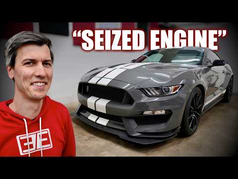 Thumbnail for I Bought A Shelby GT350 – The Best Mustang Ever? by Shelby Mustang