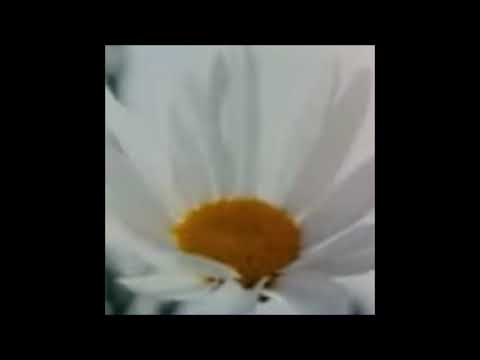 03. Matheus Felipe - Hotel