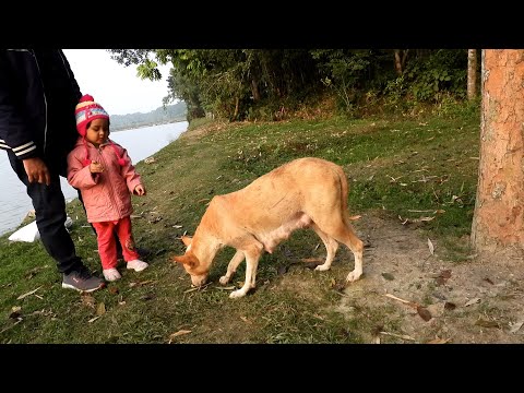 Tahiya Giving Food To a Hungry Dog