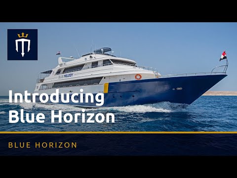 Introducing Blue Melody