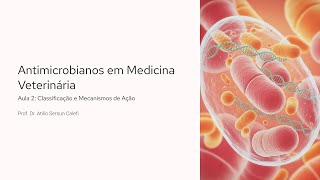 Antimicrobials - Classification Part 1 #profatilio #pharmacology #vet