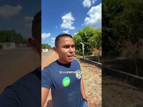Início Reforma externa UNEMAT Vila Rica-MT #matogrosso #araguaia #viralvideos