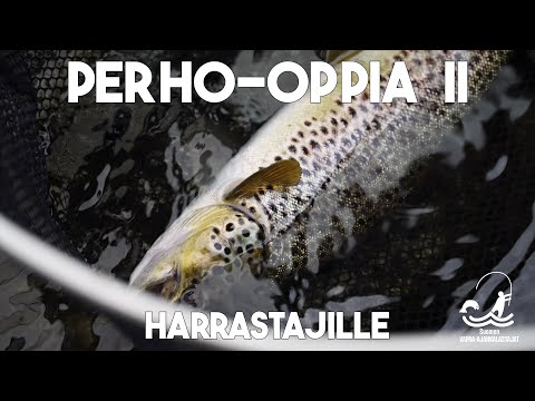 Perho-oppia II  -  Harrastajille
