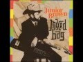 Junior Brown - Our First Bluebonnet Spring