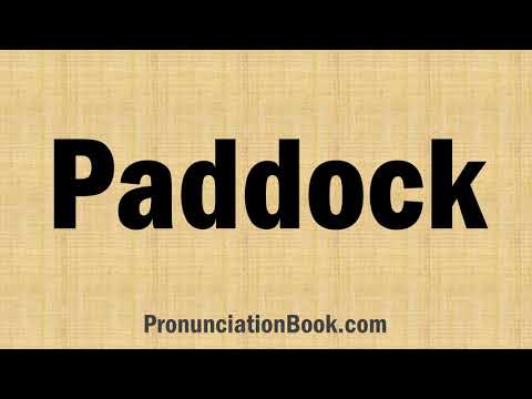 How to Pronounce Paddock