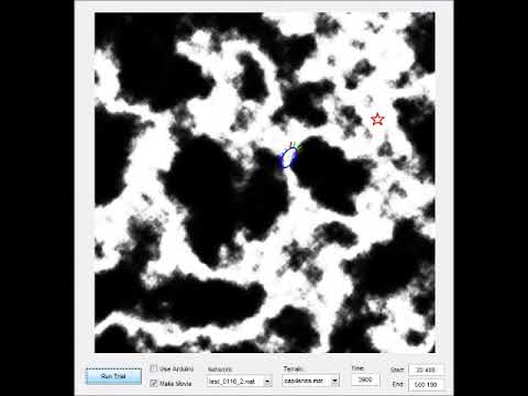 Spiking Neural Network Controlled Virtual Insect Navigate in an Random Terrain