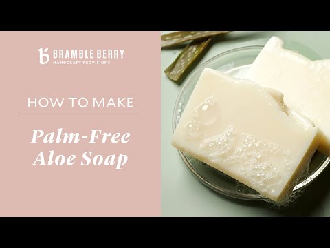 Palm-Free Aloe Soap Project