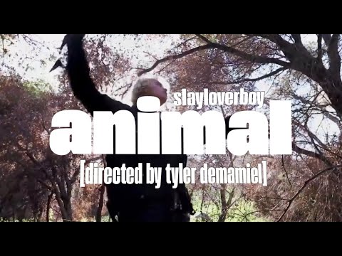 slayloverboy - animal (OFFICIAL MUSIC VIDEO)