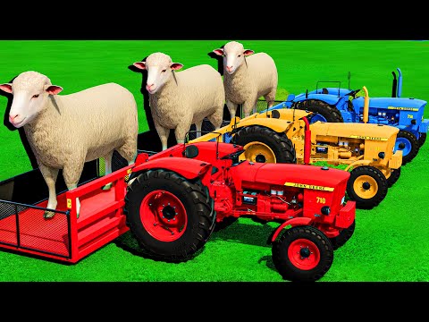 TRANSPORTING SHEEP WITH COLORED RIGITRAC TRACTORS & MAN TRUCKS - Farming Simulator 22