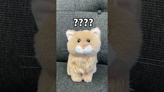 呢只猫相当有可疑..