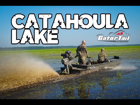 GatorTail Mud Motor on Catahoula Lake 