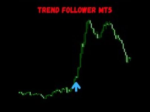 Video Trend Follower MT5