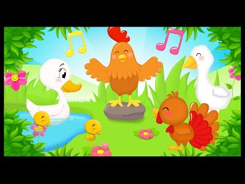 Rock and roll des gallinacés - La comptine pour les bébés - Titounis