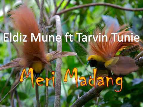 Eldiz Mune ft Tarvin Tunie- Meri Madang