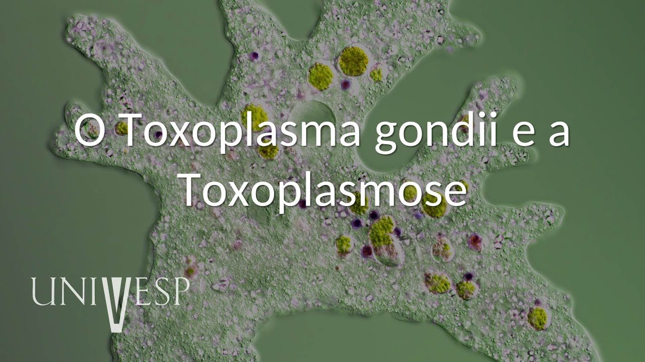 Parasitologia - Aula 05 - O Toxoplasma gondii e a Toxoplasmose