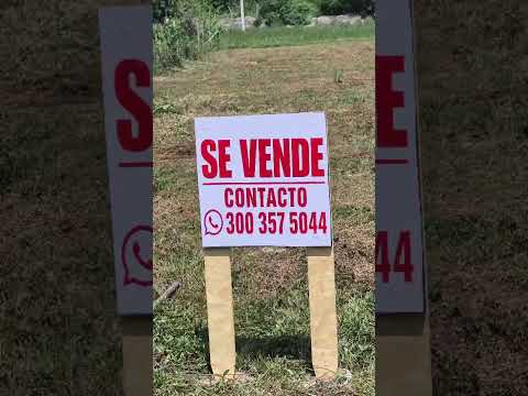 Lote 199 Conjunto la Bonga