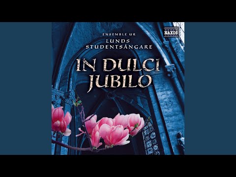 Salve regina, "Himlarnas drottning"