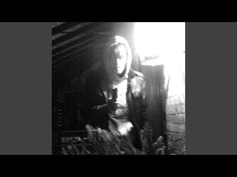 Video thumbnail for Hummingbirds