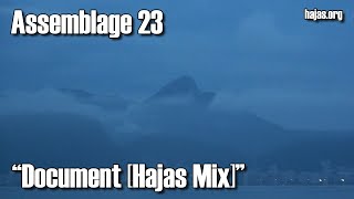 Assemblage 23 &quot;Document [Hajas Mix]&quot;