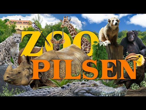 Inside Europe’s Most Species-Rich Zoo! | Pilsen (Plzeň) Zoo Review