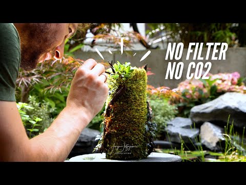 DOOA Terra Base - Relaxing Maintenance Session