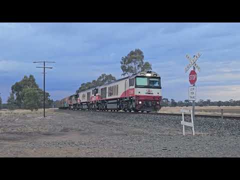 2PM9 SCT Grey Ghost to Melbourne,  9/5/24, Deep Lead