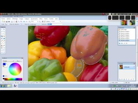 Tuto Video Utiliser La Teinte Et La Saturation Avec Paint Net