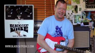 Video thumbnail for Black Cat Pedals: VIBE by Brett Kingman