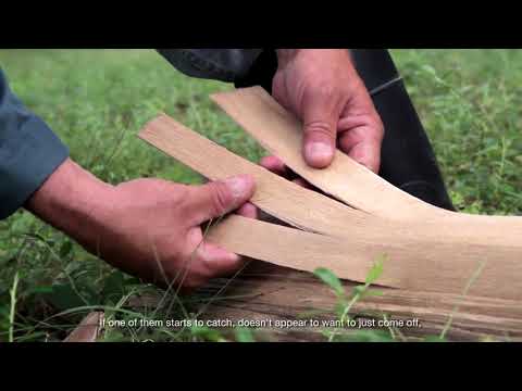 Indigenous Expressions Film Series: Ash to Baskets