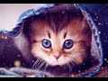 Cute Cats Whatsapp Status