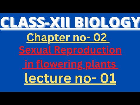 Sky Allen Institute Itanagar Video 1